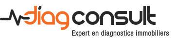 diag-consult.fr- Logo - Avis